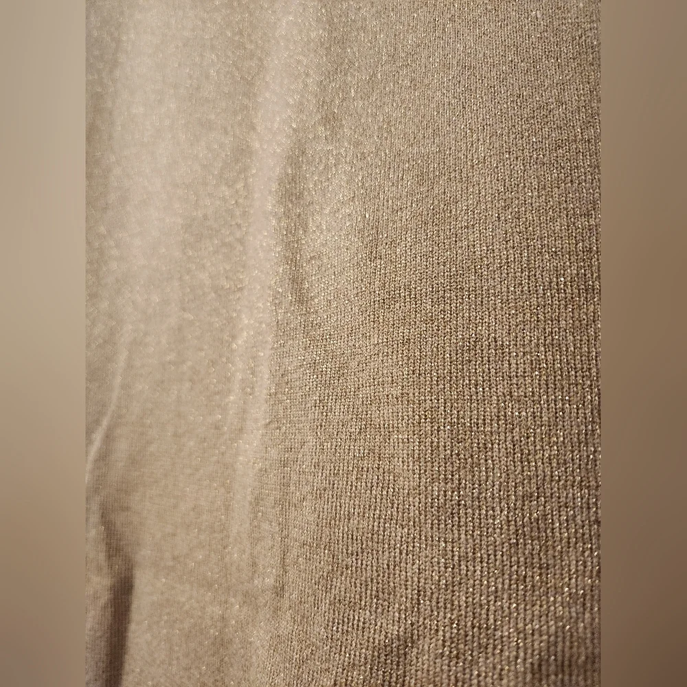 NWOT Jaclyn Smith Shimmery Gold Skirt‎ - Picture 6 of 7